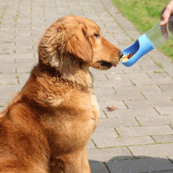CozzyPaws™ 2 In 1 Portable Dog Water Bottle