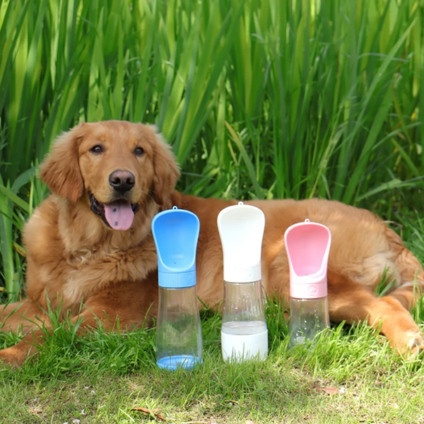 CozzyPaws™ 2 In 1 Portable Dog Water Bottle