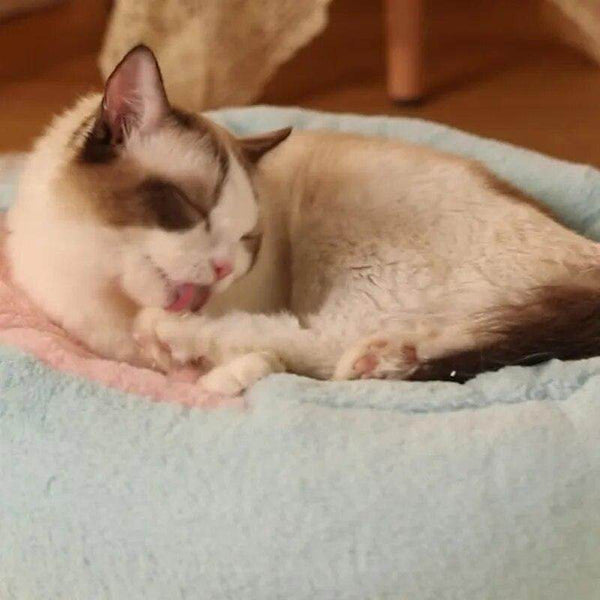 PLUSH CAT BED - CAT STYLE